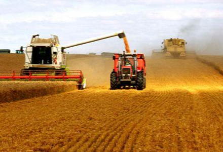 无人值守地磅称重系统“上岗” 粮食仓储管理进入智能化新时代