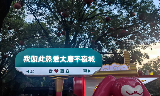 历史与自然的交织之旅——郑州博乐公司旅游记