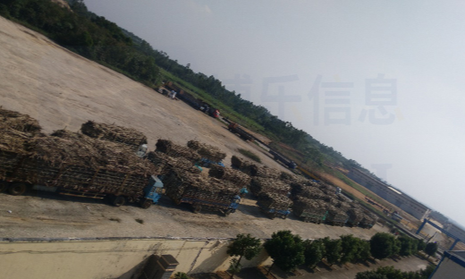 制糖企业信息化建设，甘蔗收购过磅管理系统来了