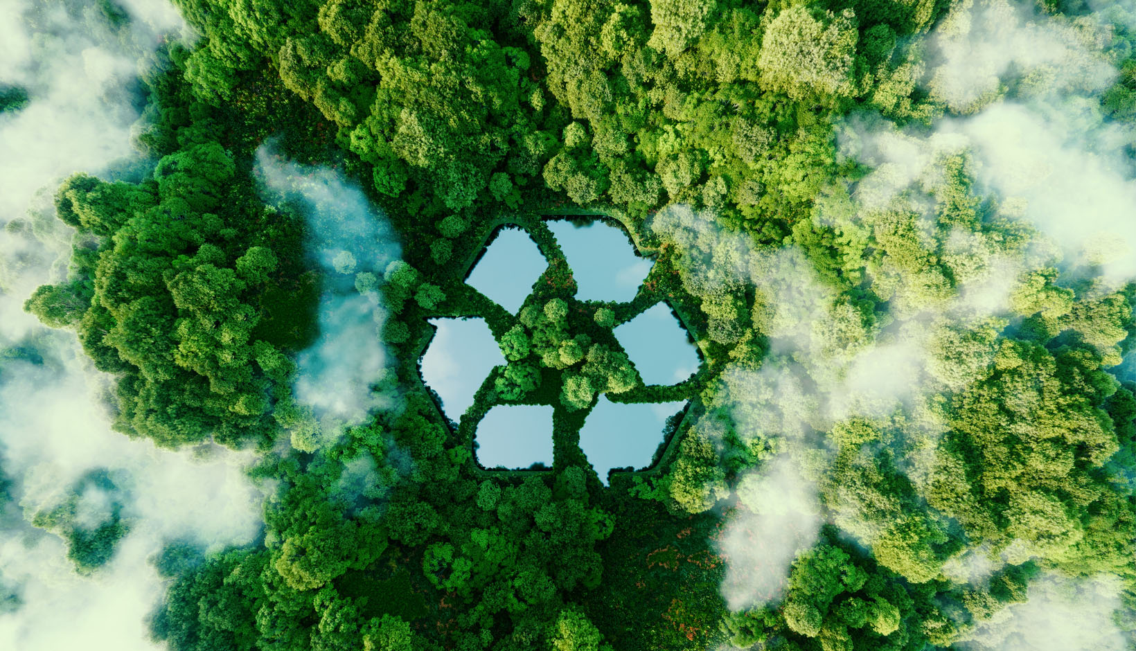 浙江环益 浙江环益
