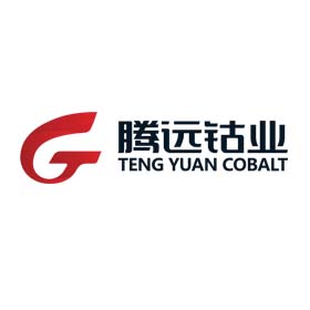 赣州腾远钴业 赣州腾远钴业