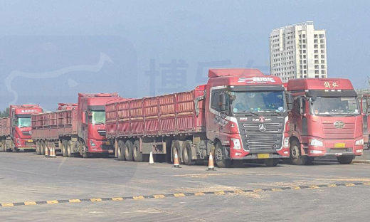 【案例分享】引入智慧粮仓方案，提高粮食储存效率、保障粮食安全